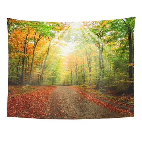 UFAEZU Colorful Nature Autumn Forest Green Road Peace Woods Path Bright Country Scene Wall Art Hanging Tapestry Home Decor for Living Room Bedroom Dorm 51x60 inch