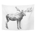 thumbnail image 1 of UFAEZU Drawn Moose Pencil Sketch Huge Standing Big Antlers Male Deer Alces Wall Art Hanging Tapestry Home Decor for Living Room Bedroom Dorm 60x80 inch, 1 of 1