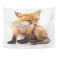 thumbnail image 1 of UFAEZU Orange Crazy Little Fox Red Beautiful Canine Carnivore Child Wall Art Hanging Tapestry Home Decor for Living Room Bedroom Dorm 51x60 inch, 1 of 1