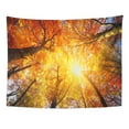 thumbnail image 1 of UFAEZU Orange Fall Autumn Sun Warmly Shining Through The Canopy Beech Trees Gold Foliage Worm Eye View Yellow Wall Art Hanging Tapestry Home Decor for Living Room Bedroom Dorm 60x80 inch, 1 of 1