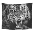 thumbnail image 1 of UFAEZU Sketch Wild Tiger in Black and White Wall Art Hanging Tapestry Home Decor for Living Room Bedroom Dorm 51x60 inch, 1 of 1