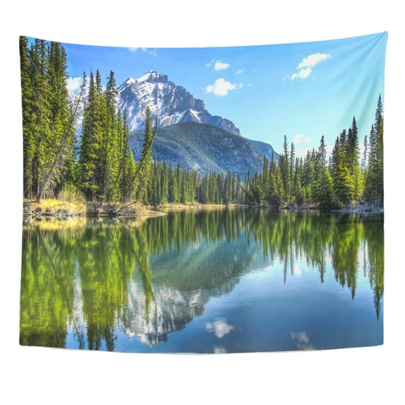 UFAEZU This is Cascade Mountain Seen from The Edge Wall Art Hanging Tapestry Home Decor for Living Room Bedroom Dorm 60x80 inch