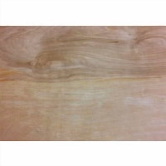 UFPI Lumber & Treated ProWood Birch Plywood Panel - Pack of 4 Jobsite Supply Pack