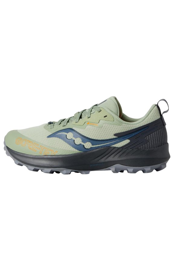 Peregrine 14 GTX Sage / Carbon S10918-253 Women's Size 11