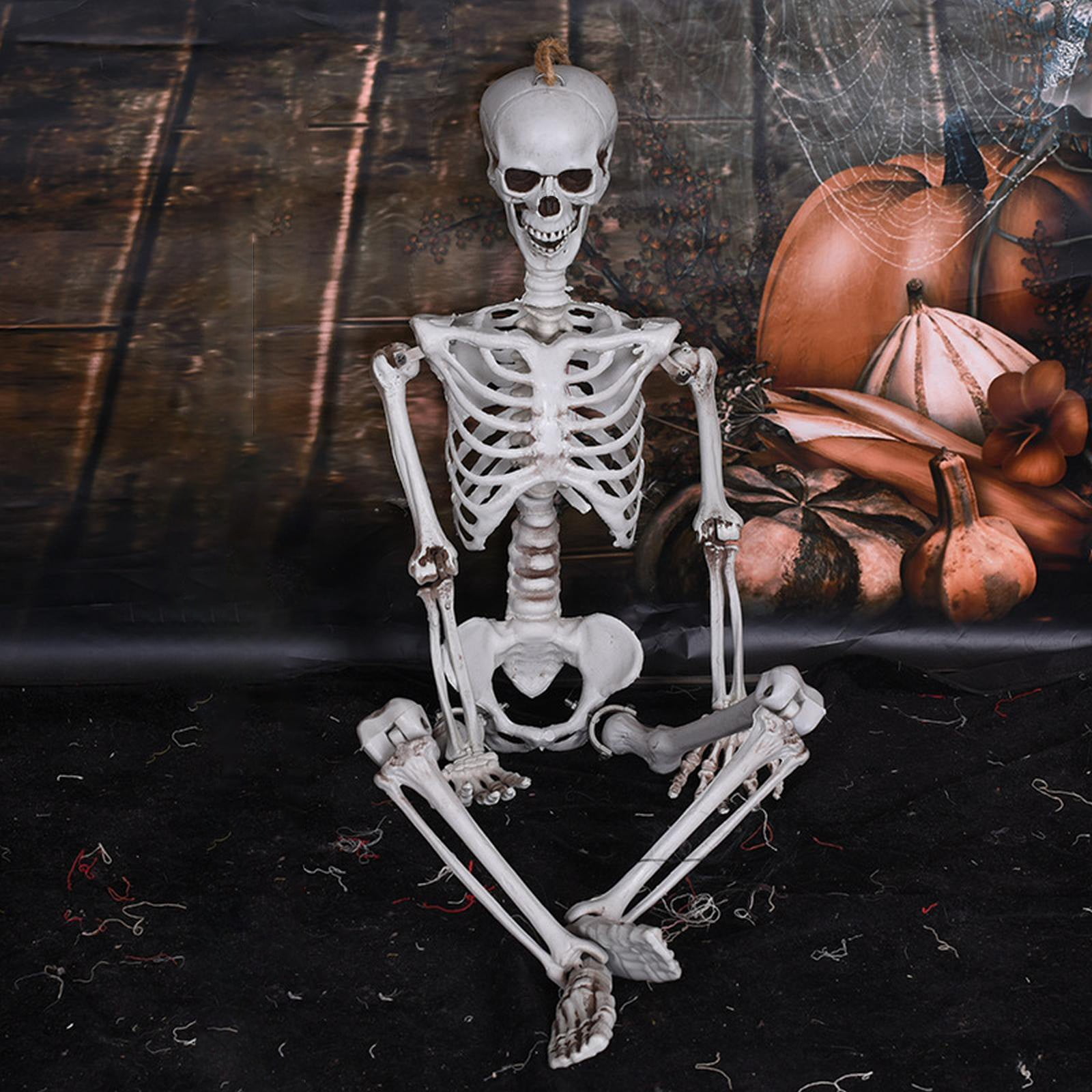 UHGEAX The Varnish Halloween Skeleton Full Body Life Size Human Bones