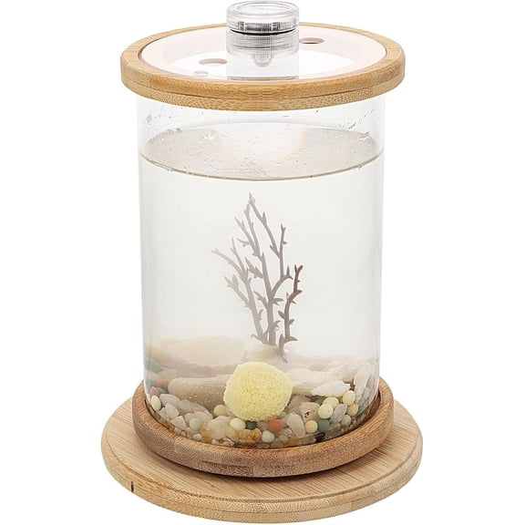 UISHUSO Desktop Micro View Aquarium with Artificial Succulent, Plants, Container & Vase, 1 Count