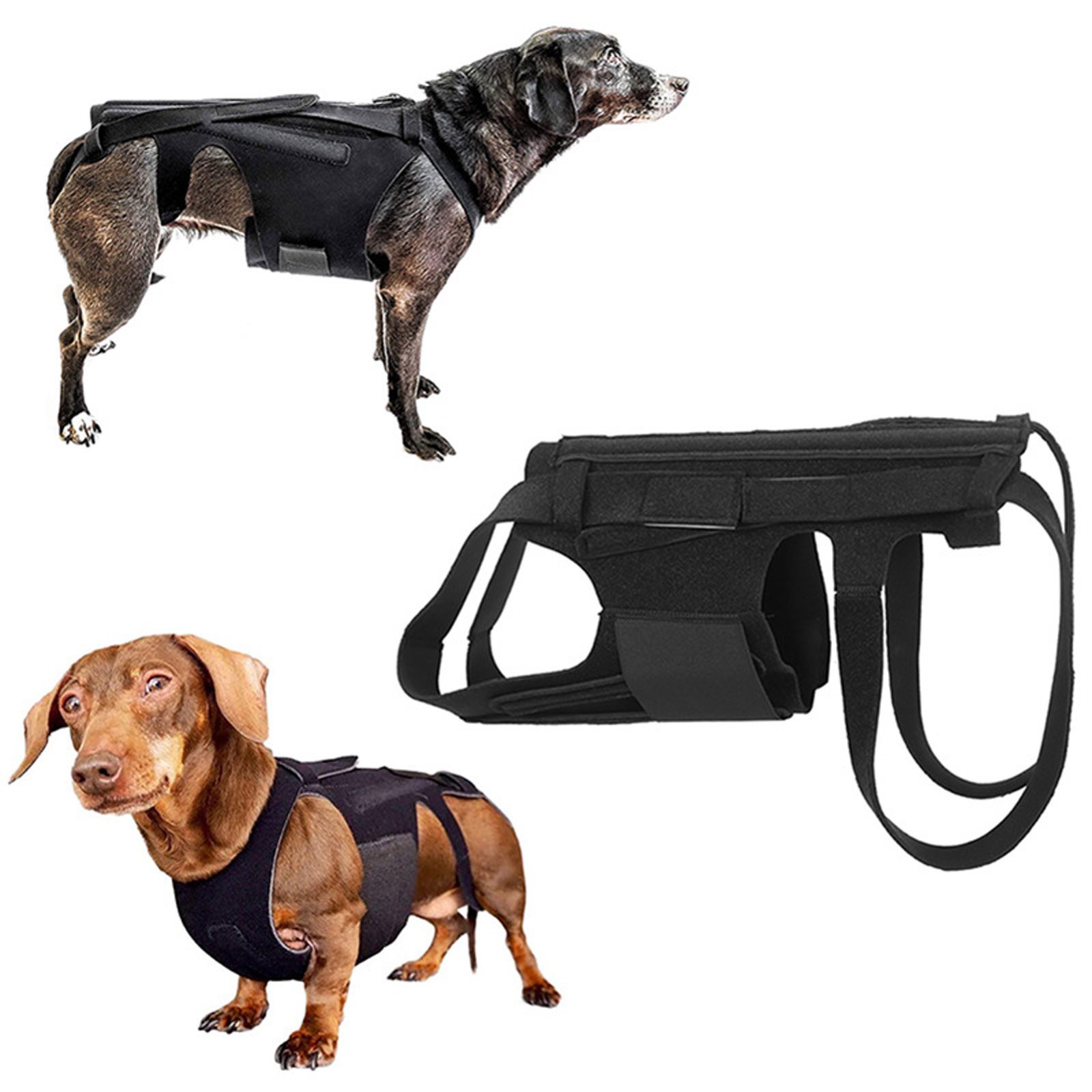 UIX Dog Back Brace for Dog Back PainRelief Arthritis Dachshunds Corgies Walmart
