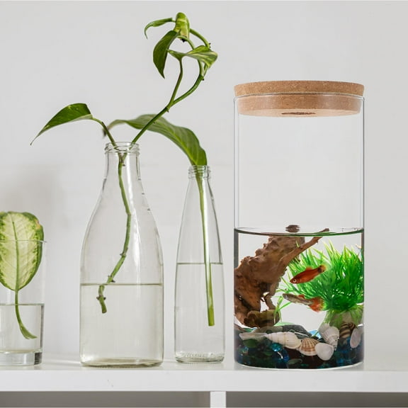 ULTNICE 1Set Glass Terrarium Jar Borosilicate Glass Modern Design for Office Decor