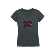 UMES University of Maryland Eastern Shore Womens Cinder T-Shirt Heather Charcoal