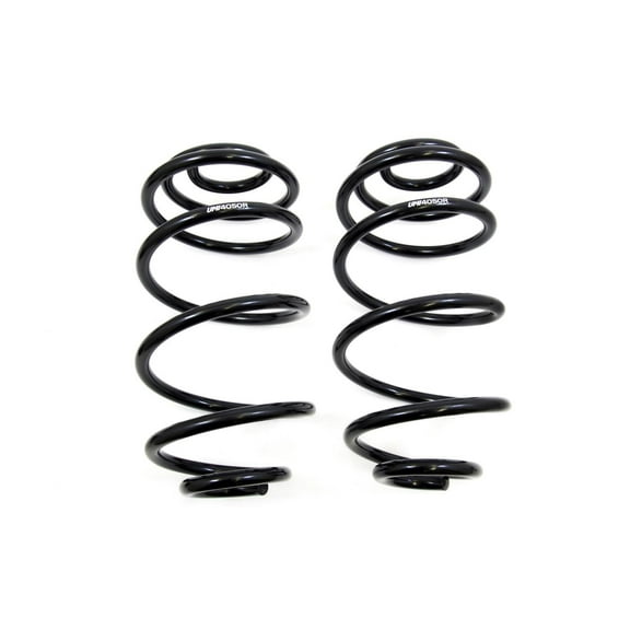 UMI Performance 4050R Rear Lowering Spring Set