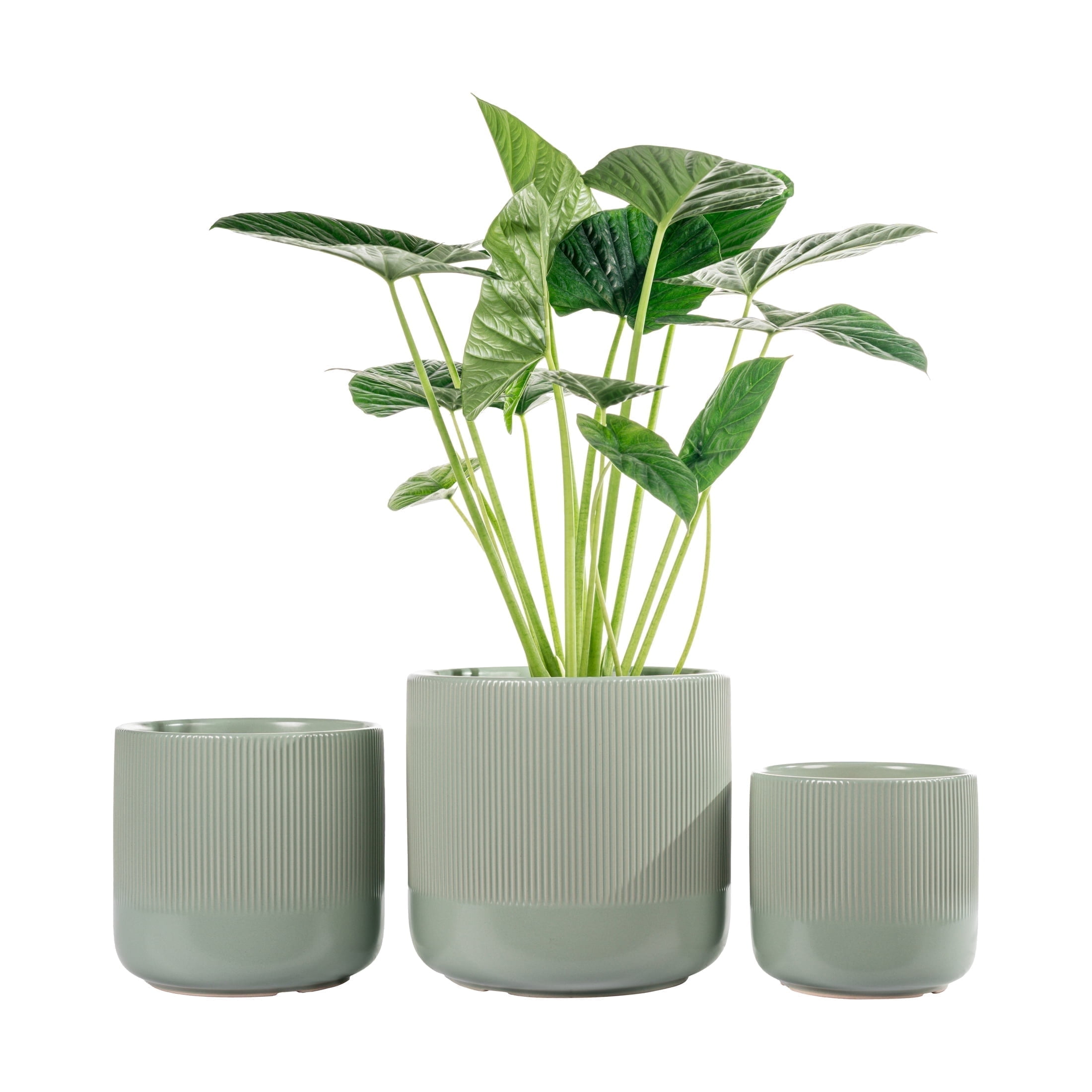 UMIAMOY Cylinder Ceramic Plant Pots,5.8+6.9+8.3 inch Plant Pots with Drainage Holes and Saucer,Set of 3 Ceramic Flower Pots for Indoor Outdoor Decoration,Light Green