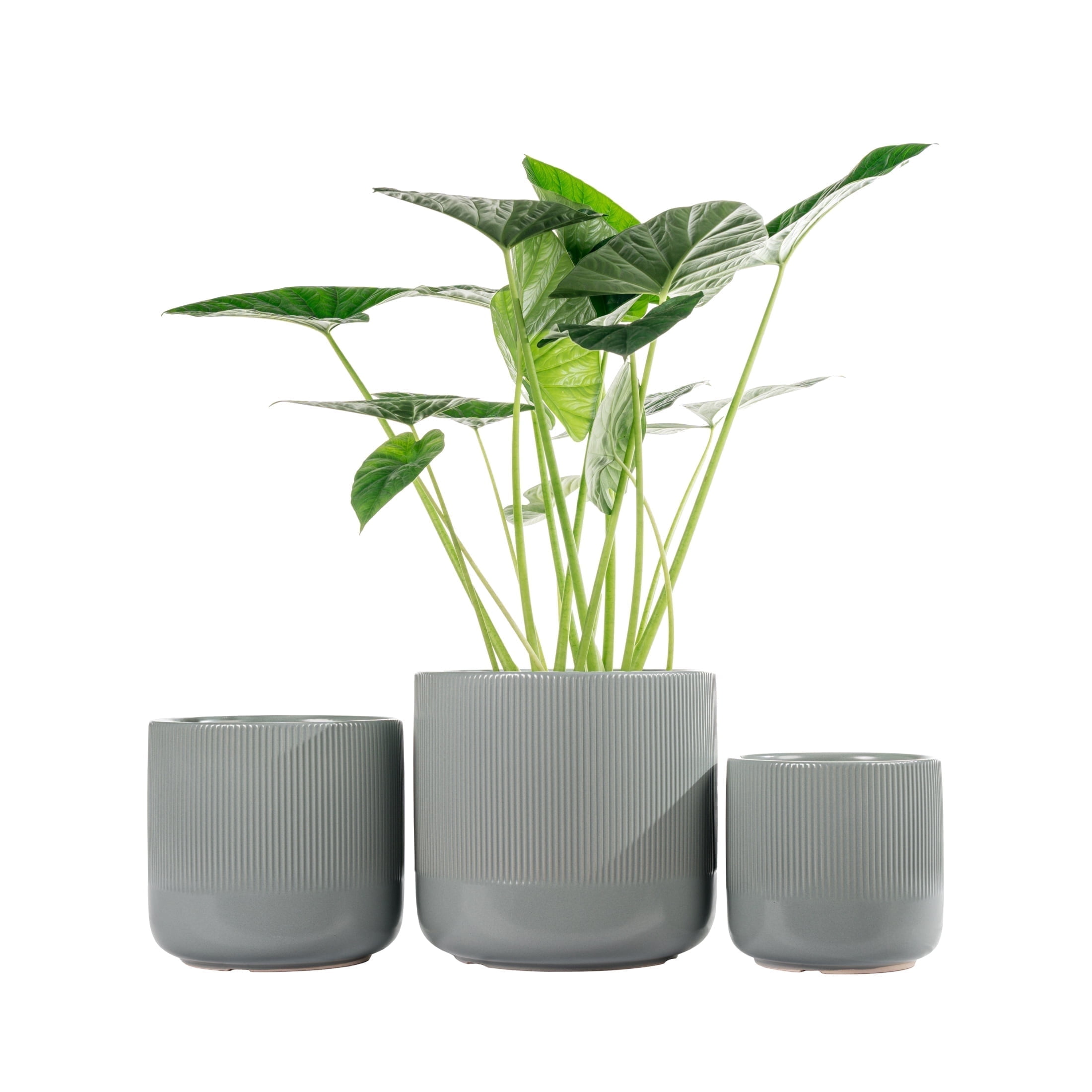 UMIAMOY Cylinder Ceramic Plant Pots,5.8+6.9+8.3 inch Plant Pots with Drainage Holes and Saucer,Set of 3 Ceramic Flower Pots for Indoor Outdoor Decoration,Blue