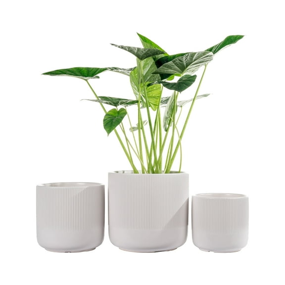 UMIAMOY Cylinder Ceramic Plant Pots,5.8+6.9+8.3 inch Plant Pots with Drainage Holes and Saucer,Set of 3 Ceramic Flower Pots for Indoor Outdoor Decoration,White