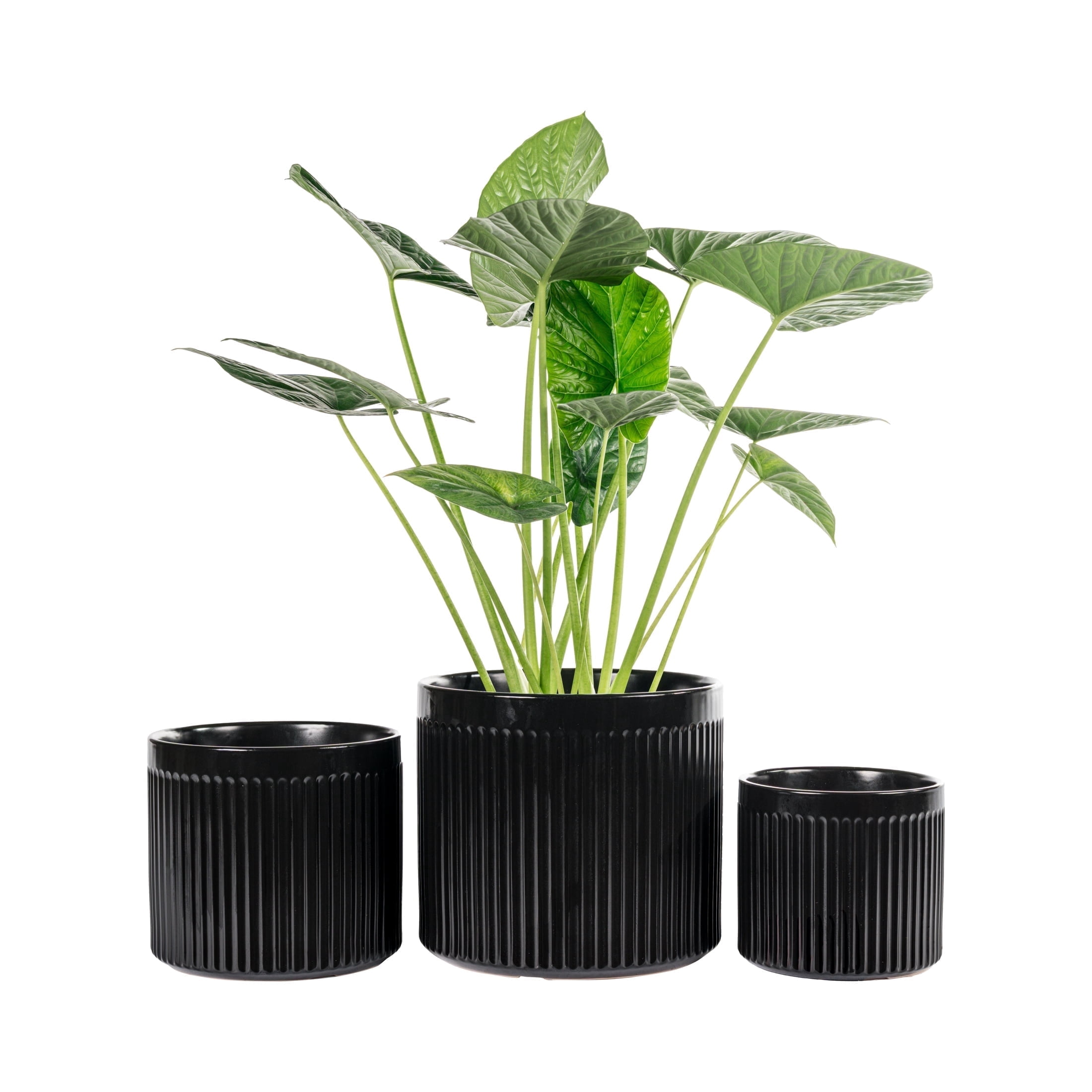 UMIAMOY Modern Cylinder Set of 3 Ceramic Flower Pots,5.7+7.0+8.6 inch Plant Pots with Drainage Holes and Saucer,Indoor Outdoor Planters for Home Patio Garden Decoration