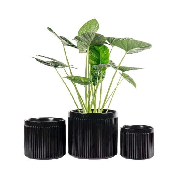 UMIAMOY Modern Cylinder Set of 3 Ceramic Flower Pots,5.7 7.0 8.6 inch Plant Pots with Drainage Holes and Saucer,Indoor Outdoor Planters for Home Patio Garden Decoration