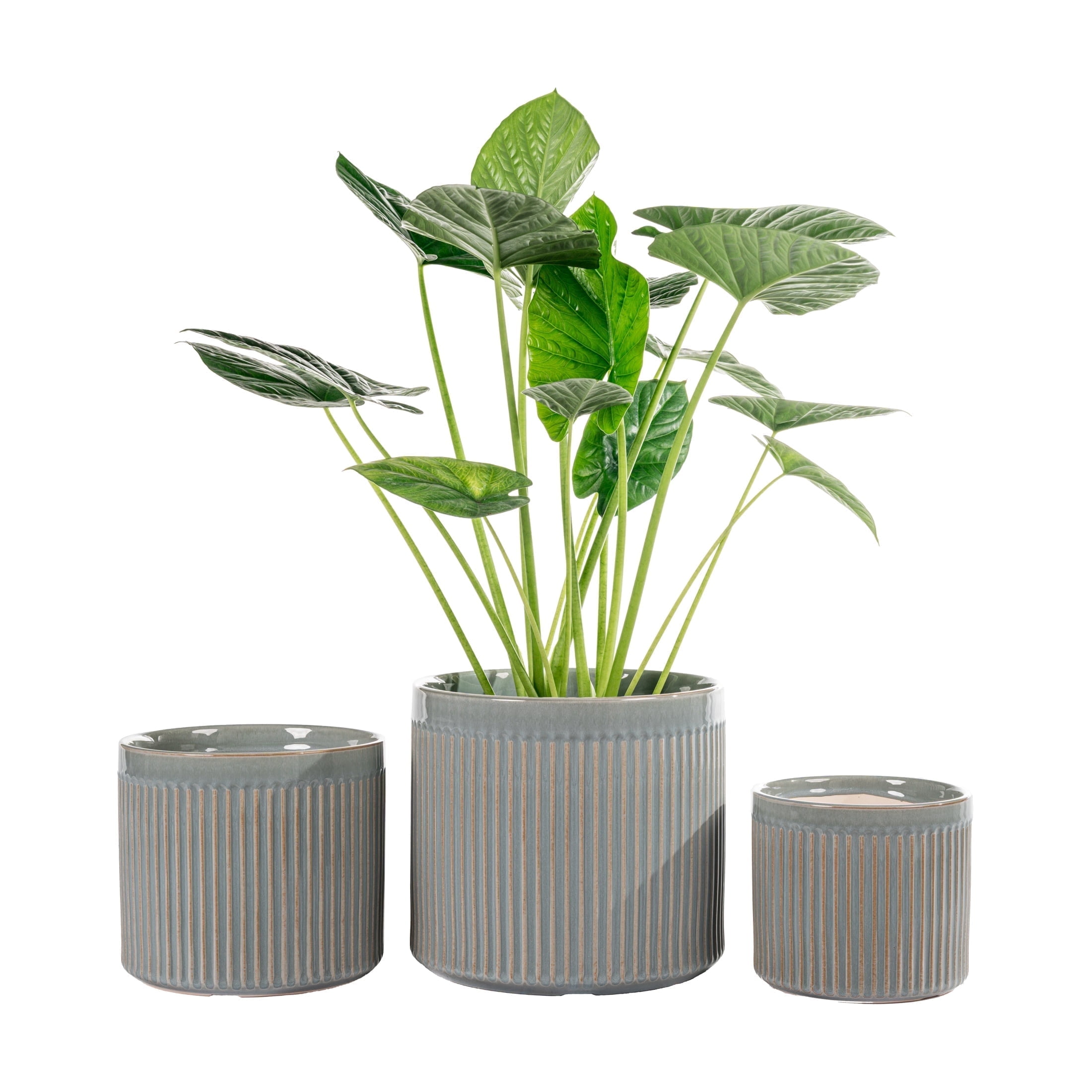UMIAMOY Modern Cylinder Set of 3 Ceramic Flower Pots,5.7+7.0+8.6 inch Plant Pots with Drainage Holes and Saucer,Indoor Outdoor Planters for Home Patio Garden Decoration