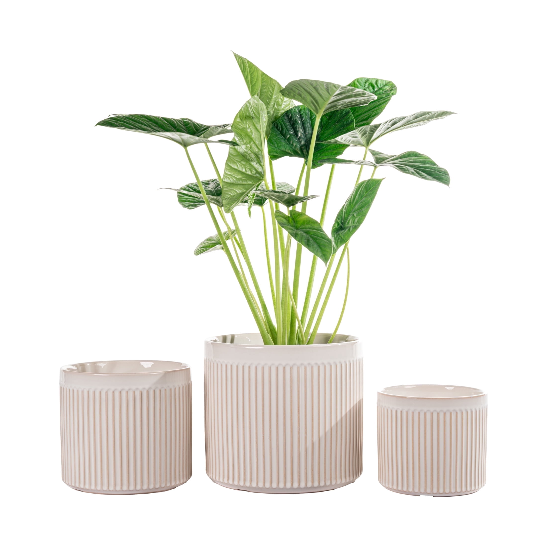 UMIAMOY Modern Cylinder Set of 3 Ceramic Flower Pots,5.7+7.0+8.6 inch Plant Pots with Drainage Holes and Saucer,Indoor Outdoor Planters for Home Patio Garden Decoration