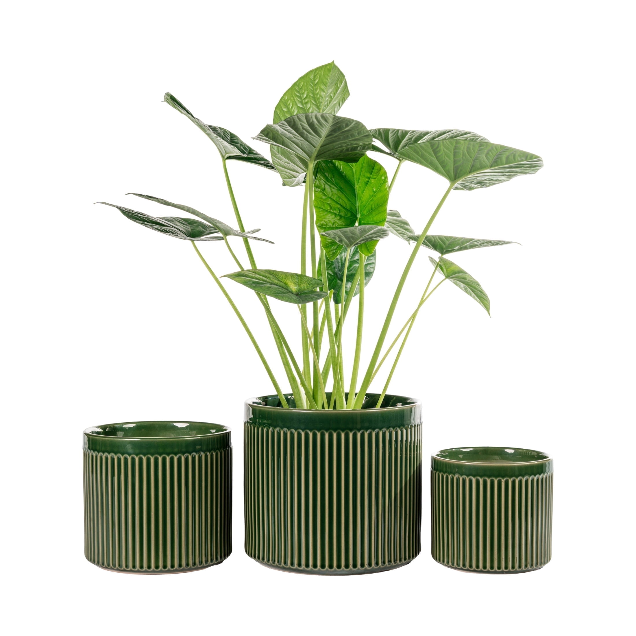 UMIAMOY Modern Cylinder Set of 3 Ceramic Flower Pots,5.7+7.0+8.6 inch Plant Pots with Drainage Holes and Saucer,Indoor Outdoor Planters for Home Patio Garden Decoration