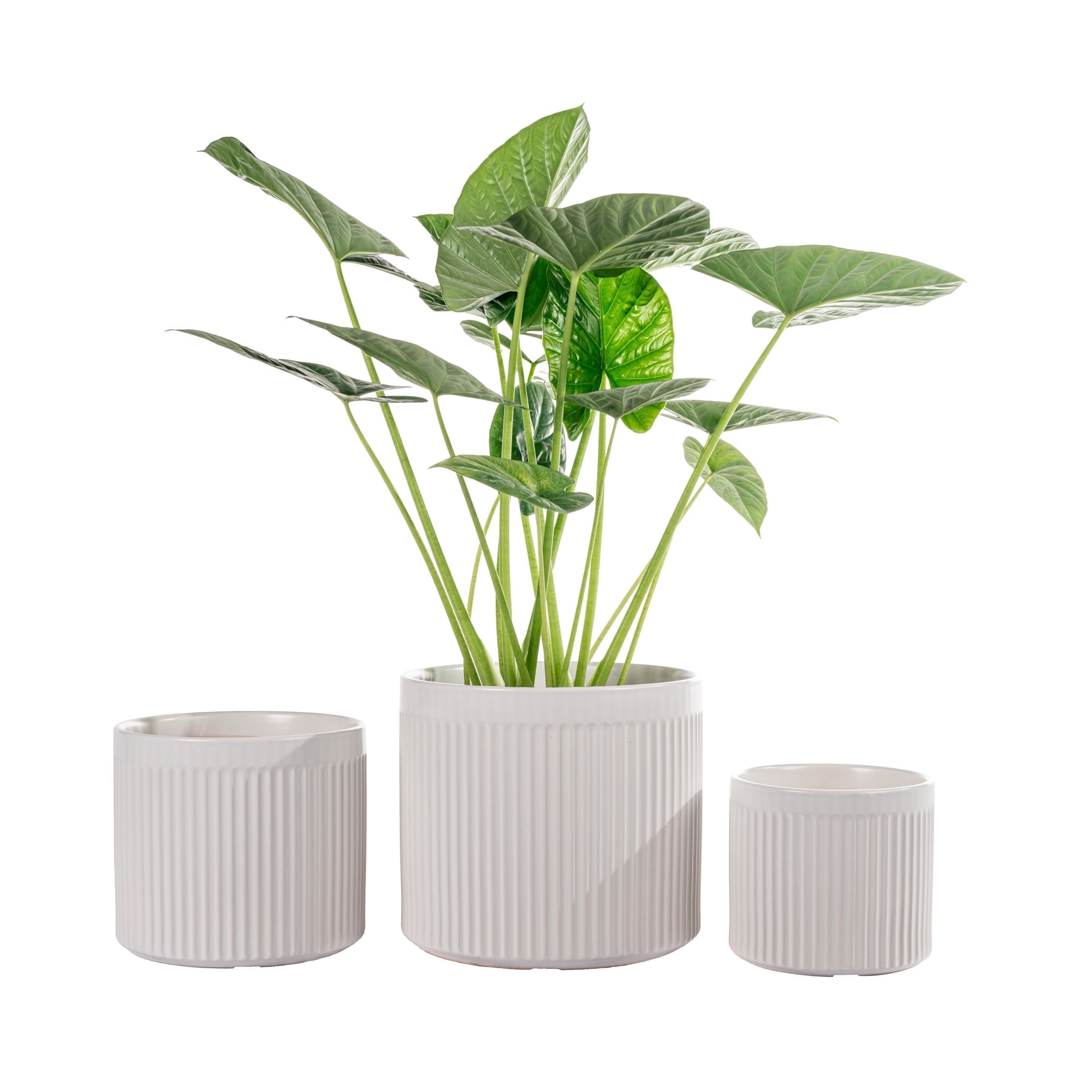 UMIAMOY Modern Cylinder Set of 3 Ceramic Flower Pots,5.7+7.0+8.6 inch Plant Pots with Drainage Holes and Saucer,Indoor Outdoor Planters for Home Patio Garden Decoration