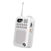 UMUTOO Mini Portable Bluetooth Speaker, 3W Compact Wireless Speaker with FM Radio,Voice Recorder