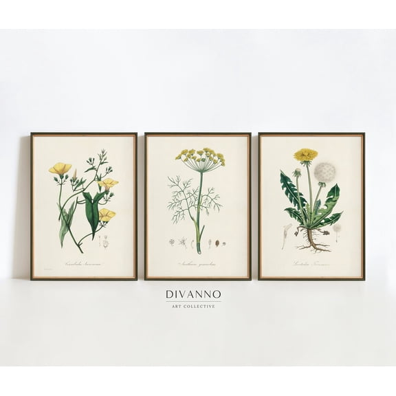 UNFFRAMED Antique Herbs Set Of 3 Posters, Garden Art Print, Vintage Botanical Gallery Wall, Kitchen Decor, Flower Chart, Wildflower, Art Set 3 Prints 8x12