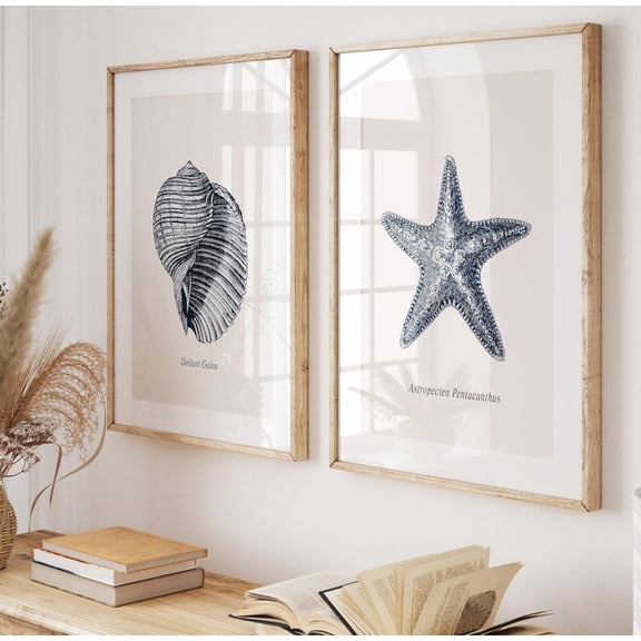 UNFFRAMED Antique Seashell Sketch Art, Vintage Seashell Drawing, Coastal Gallery Wall Seteashell Set Posters, Beach Cottage Decor Set 2 Prints 20x30