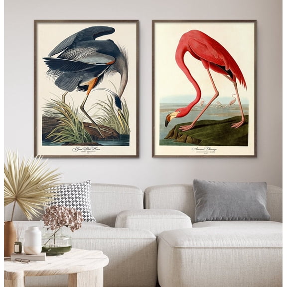UNFFRAMED Audubon Bird Poster Set Retro American Great Blue Heron Pink Flamingo Gallery Wall Art Museum Poster Home Decor Set 2 Prints 20x30