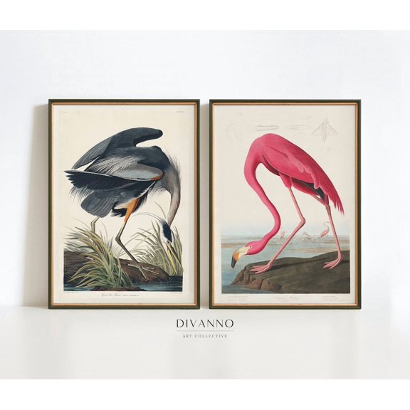 UNFFRAMED Audubon Bird Prints Set, Flamingo & Heron, Wildlife Art Set 2 Prints 8x12