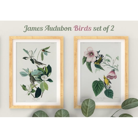 UNFFRAMED Audubon Birds Print Set, Botanical Prints, Illustration, Giclee, Bird Prints, Audubon Bird Prints, Magnolia Print, Vintage Bird Prints Set 2 Prints 20x30