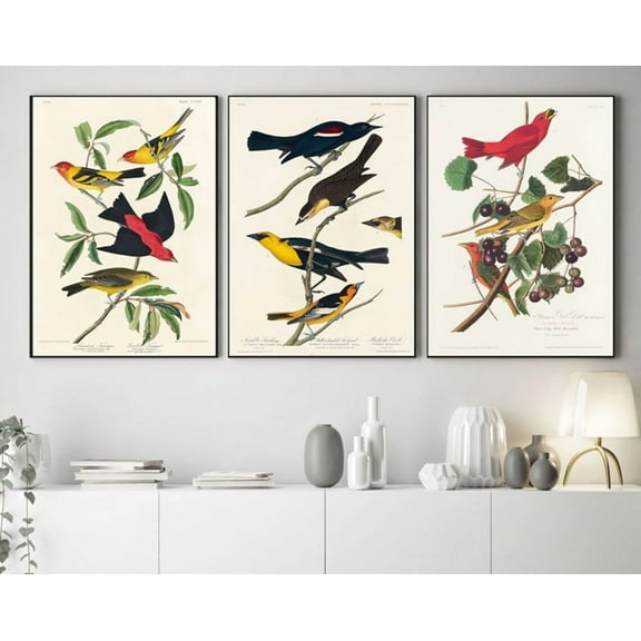 Luvia Audubon Prints Set Of 3 Audubon Botanicals Bird Botanical Prints, Modern Wall Decor Set 3 Prints 20x30 UNFRAMED