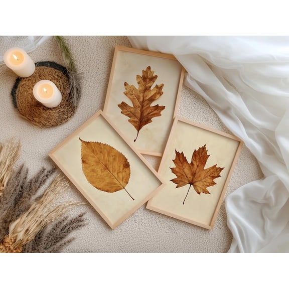 UNFFRAMED Autumn Leaf Wall Art Set Of 3, Rustic Vintage Botanical Posters, Neutral Fall Decor, Maple Oak Birch Wall Art, Poster Set 3 Prints 20x30