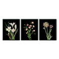 thumbnail image 1 of UNFFRAMED Black Wildflowers Print Set, Botanical Farmhouse Wall Art Set 3 Prints 20x30, 1 of 3