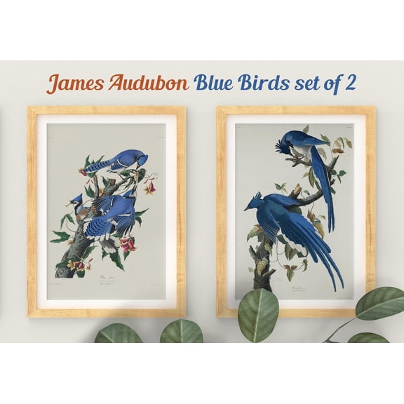 UNFFRAMED Blue Birds Print Set, Botanical Prints, Vintage Bird Prints, Audubon Bird Prints, Magnolia, Audubon Birds, Living Room Art, Botanical Print Set 2 Prints 20x30
