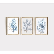 UNFFRAMED Blue Coral Set Of Three, Minimalist Coastal Poster Set, Beach House Wall Art, Nautical Decor, Modern Poster, E785 Set 3 Prints 8x12