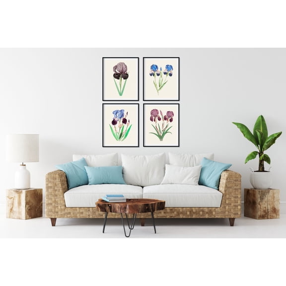 UNFFRAMED Blue Iris Botanical Art Prints, Farmhouse Kitchen Decor Set 4 Prints 16x24