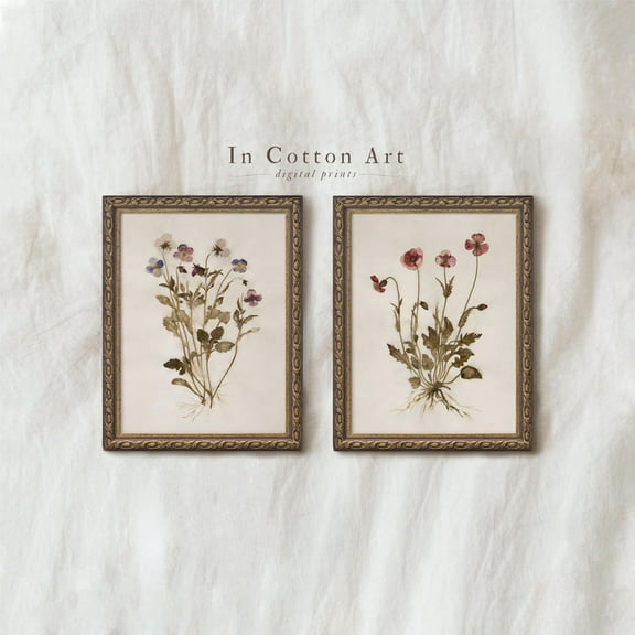 UNFFRAMED Botanical Pressed Flower Wall Art Set Of 2, Vintage Wildflower, French Cottage Wall Art, Nature Herbarium Decor, P303 Set 2 Prints 8x12