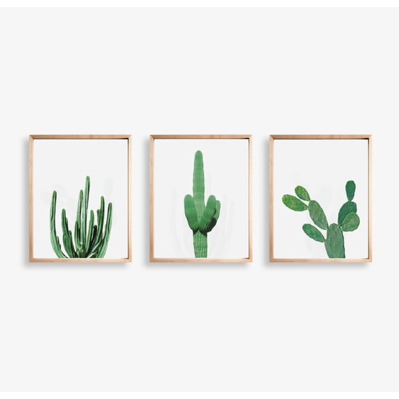UNFFRAMED Cactus Wall Art Set Of 3 Posters, Cactus Poster, Desert Poster, Botanical Art, Cactus, Desert Cactus Wall Art, Gallery Wall Set 3 Prints 16x24
