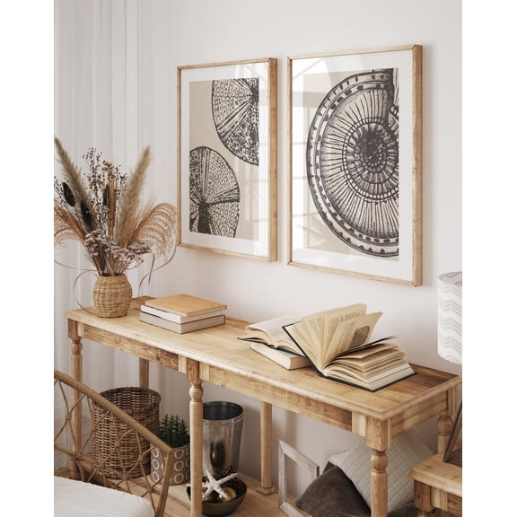 UNFFRAMED Coastal Prints Set, Modern Sea Shell Art, Ocean Prints, Beach Wall Decor, Boho Beach Prints, Coastal Home Decor, Printable Wall Art Set 2 Prints 20x30