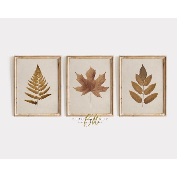 UNFFRAMED Fall Leaf Print Set, Vintage Autumn Botanical Wall Art Set, Printable Wall Art, Neutral Rustic Beige Decor, Maple Leaf Fern Set 3 Prints 12x18