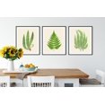 thumbnail image 1 of UNFFRAMED Fern Prints, Vintage Botanical Wall Art, Farmhouse Decor Set 3 Prints 20x30, 1 of 3