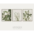 thumbnail image 1 of UNFFRAMED Flowers Poster Set, Botanical Set Set 3 Prints 8x12, 1 of 3