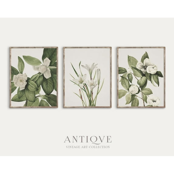 UNFFRAMED Flowers Poster Set, Botanical Set Set 3 Prints 8x12