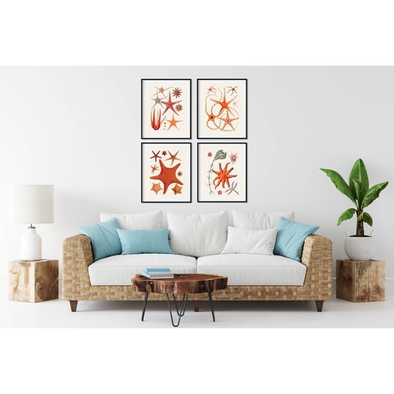 UNFFRAMED French Starfish Prints, Coastal Nautical Wall Art Set 4 Prints 16x24