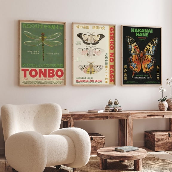 Luvia Insect - Butterfly, Dragonfly, And Moth Japanese Exhibition Posters - Entomological Gallery Art Decor Set Of 3 Prints, Modern Wall Decor Set 3 Prints 16x24 UNFRAMED