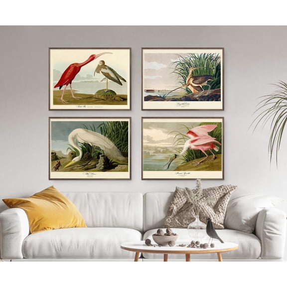 UNFFRAMED John Audubon Gallery Wall Art Set Of 4 Poster Bird Ibis Spoonbill Poster Retro Antique Nature Vintage Home Decor Set 4 Prints 8x12