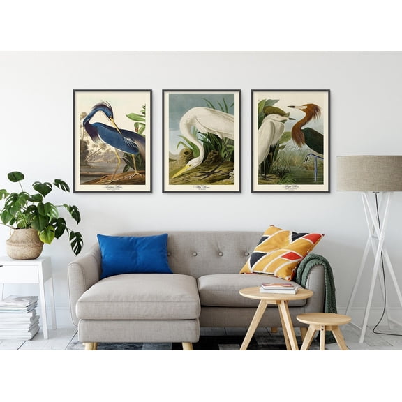 UNFFRAMED John Audubon Poster Set Of 3 Gallery Wall Art Bird White Purple Heron Vintage Poster Retro Nature Antique Home Wall Decor Set 3 Prints 8x12