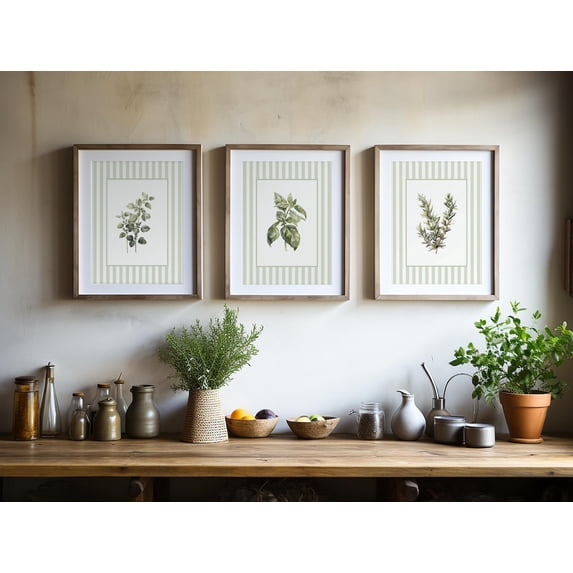 UNFFRAMED Luvia Green Striped Herb Botanical Set of 3, Kitchen Wall Art Set 3 Prints 8x12