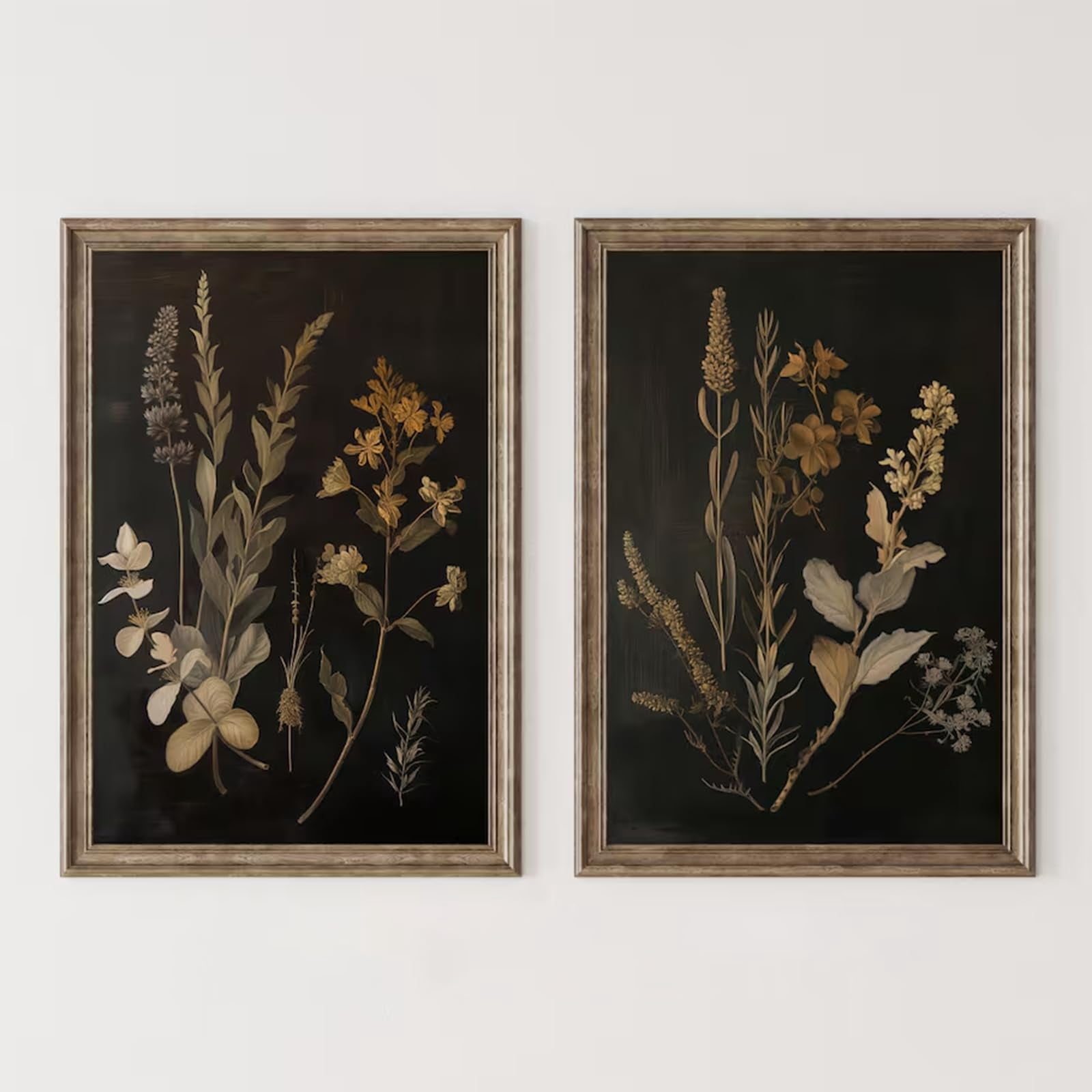 UNFFRAMED Luvia Set of 2 Vintage Floral Poster Wall Art Black Botanical ...
