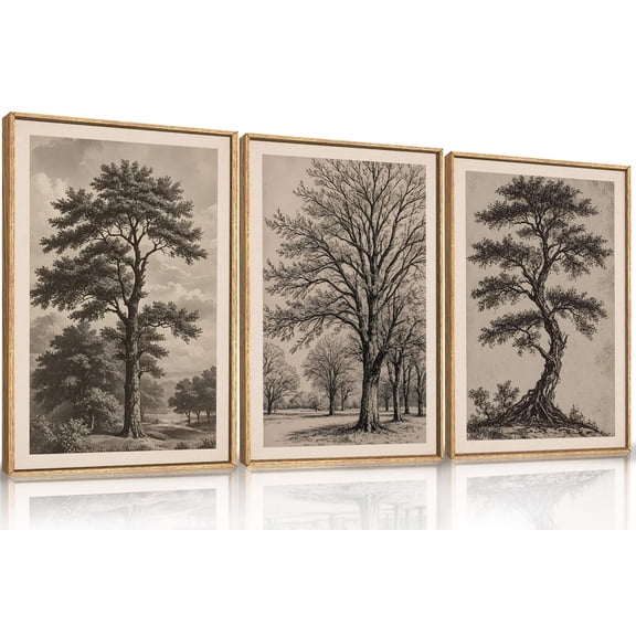 UNFFRAMED Luvia Set of 3 Vintage Tree Sketch Poster Wall Art – Minimalist Botanical Nature Prints for Living Room Bedroom or Farmhouse Décor Set 3 Prints 20x30