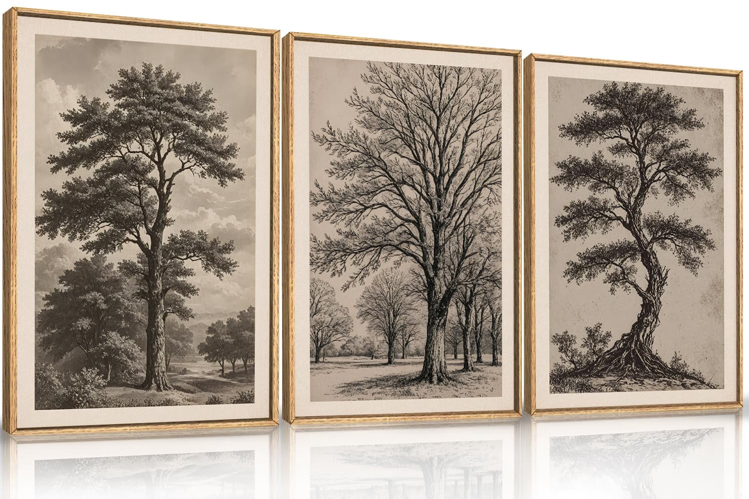 UNFFRAMED Luvia Set of 3 Vintage Tree Sketch Poster Wall Art ...